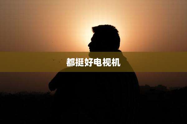 都挺好电视机