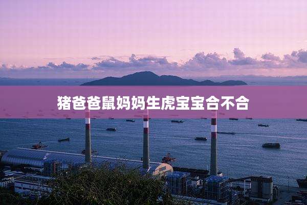 猪爸爸鼠妈妈生虎宝宝合不合