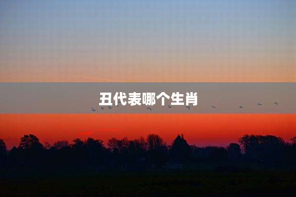 丑代表哪个生肖