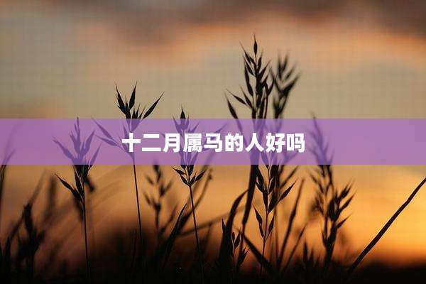 十二月属马的人好吗
