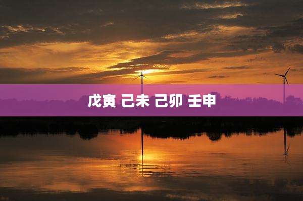 戊寅 己未 己卯 壬申