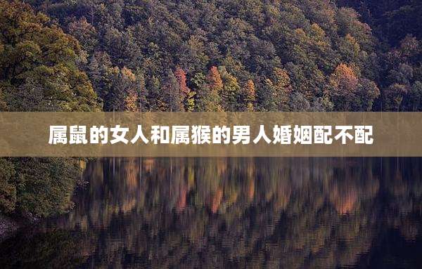 属鼠的女人和属猴的男人婚姻配不配
