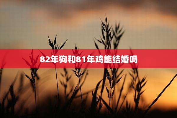 82年狗和81年鸡能结婚吗