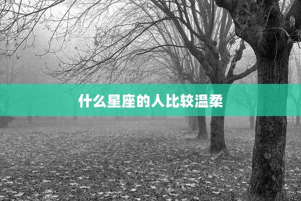 什么星座的人比较温柔