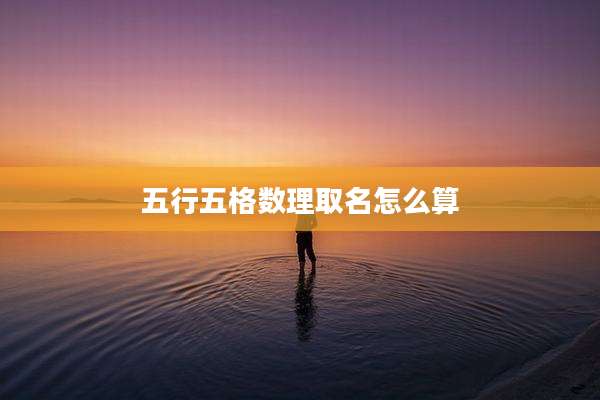 五行五格数理取名怎么算