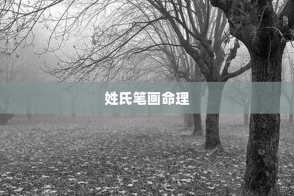 姓氏笔画命理