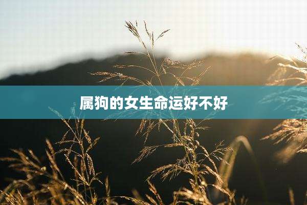 属狗的女生命运好不好