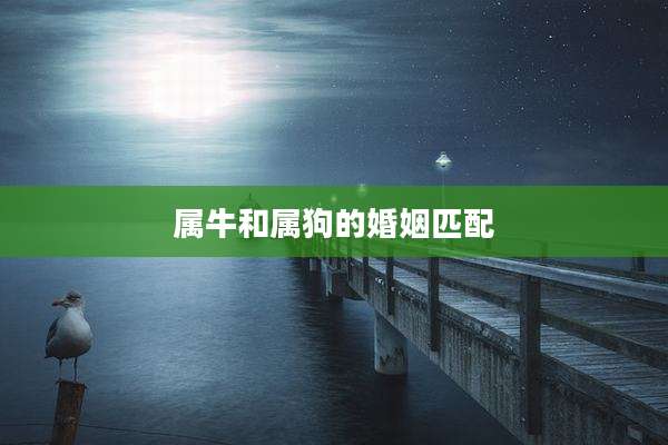 属牛和属狗的婚姻匹配