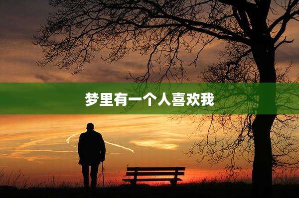 梦里有一个人喜欢我