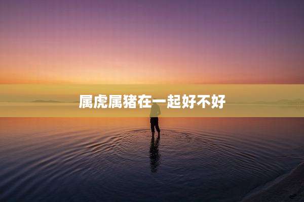 属虎属猪在一起好不好