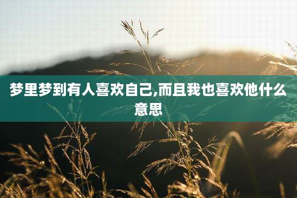 梦里梦到有人喜欢自己,而且我也喜欢他什么意思