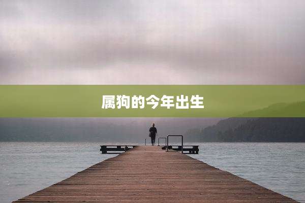 属狗的今年出生