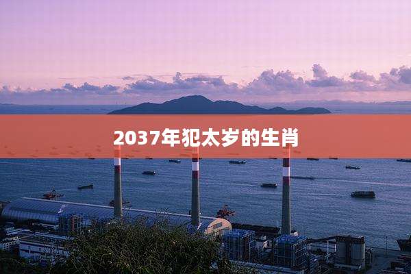 2037年犯太岁的生肖
