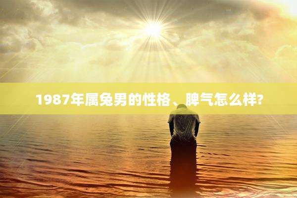 1987年属兔男的性格、脾气怎么样?