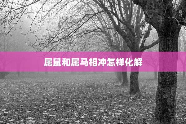 属鼠和属马相冲怎样化解