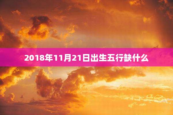 2018年11月21日出生五行缺什么