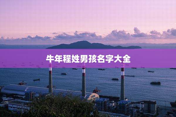 牛年程姓男孩名字大全