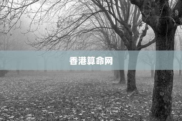 香港算命网