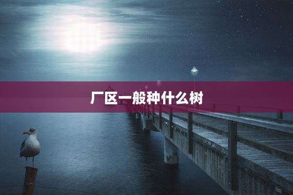 厂区一般种什么树