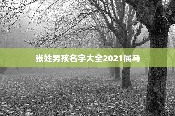 张姓男孩名字大全2021属马