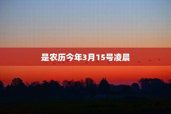 是农历今年3月15号凌晨