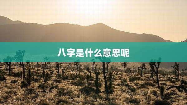 八字是什么意思呢