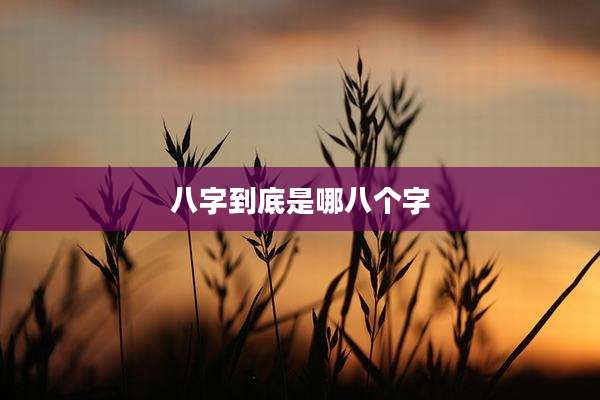 八字到底是哪八个字