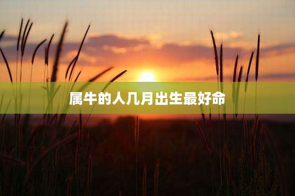 属牛的人几月出生最好命
