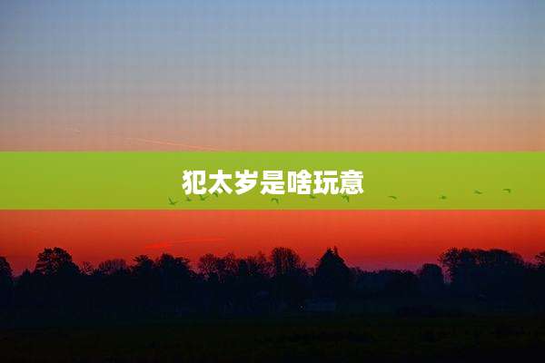 犯太岁是啥玩意