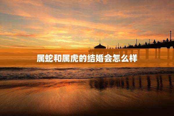 属蛇和属虎的结婚会怎么样