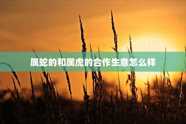 属蛇的和属虎的合作生意怎么样