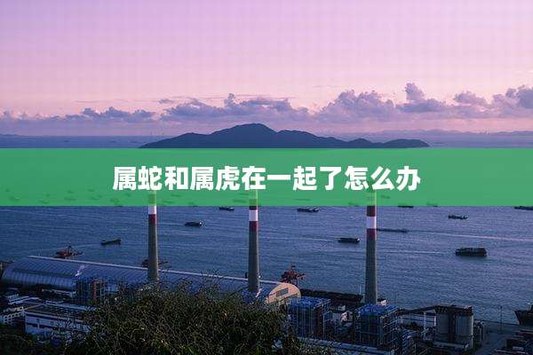 属蛇和属虎在一起了怎么办