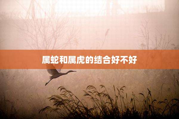 属蛇和属虎的结合好不好