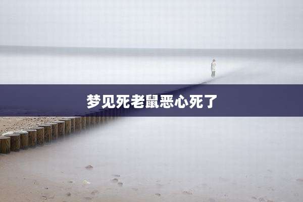 梦见死老鼠恶心死了