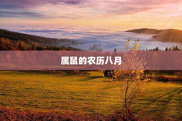 属鼠的农历八月