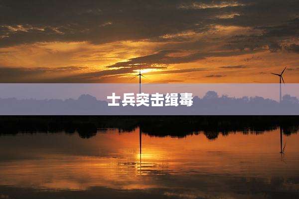 士兵突击缉毒