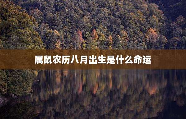 属鼠农历八月出生是什么命运