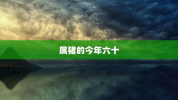 属猪的今年六十