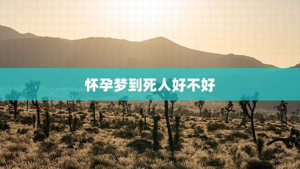 怀孕梦到死人好不好