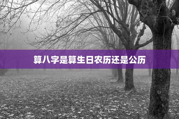 算八字是算生日农历还是公历