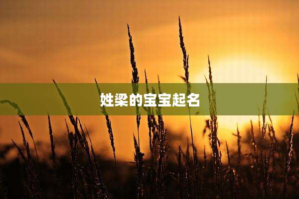 姓梁的宝宝起名