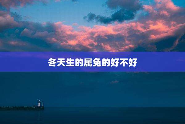 冬天生的属兔的好不好