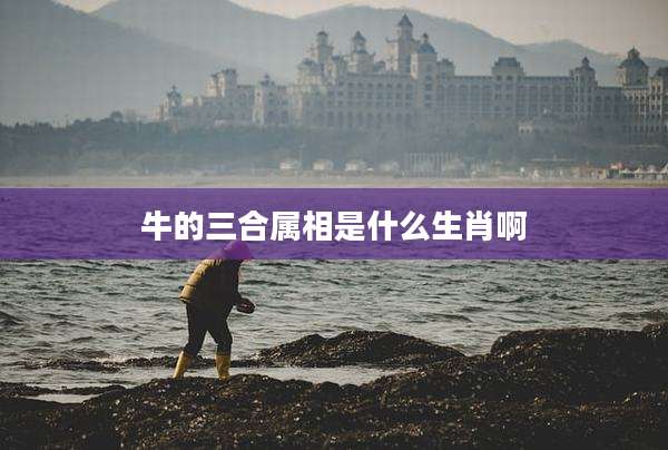 牛的三合属相是什么生肖啊