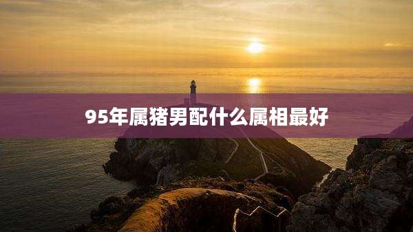 95年属猪男配什么属相最好