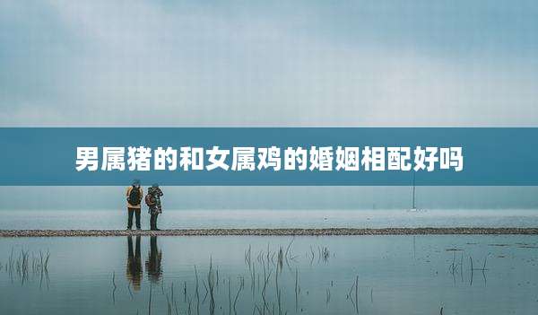 男属猪的和女属鸡的婚姻相配好吗