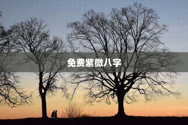 免费紫微八字