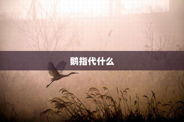 鹅指代什么