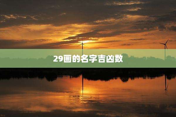 29画的名字吉凶数