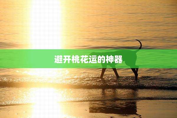 避开桃花运的神器