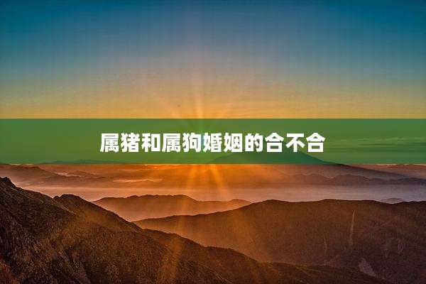 属猪和属狗婚姻的合不合
